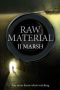 [DI Beatrice Stubbs 02] • Raw Material